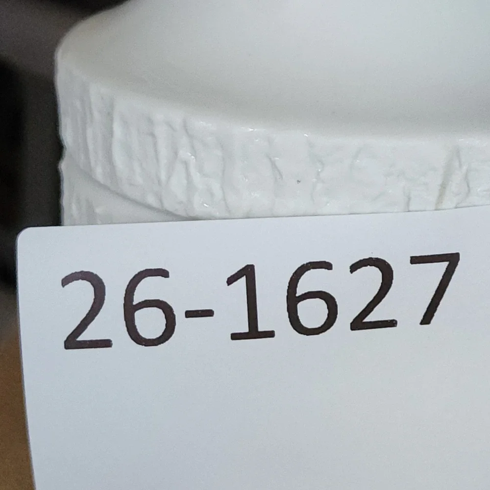 Porcrlain Vase Thomas Germany 7
